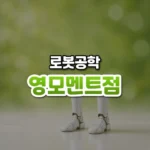 넘어지지 않고 걷는 비밀, 영 모멘트 점(Zero Moment Point)