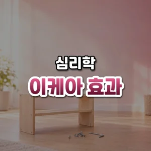 이케아 효과 썸네일: 화면 아래쪽 나무 바닥 위 직접 조립한 작은 원목 선반과 육각 렌치, 나사 뒤로 장밋빛 분홍 빛이 위로 번져 글자를 올릴 여백이 있는 모습