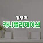 카니벌리제이션 썸네일: 깨끗한 선반 아래쪽에 놓인 비슷한 제품 상자 몇 개