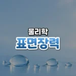 물 위를 걷는 비밀, 표면 장력(Surface Tension)