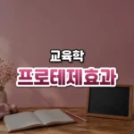 가르치며 더 깊이 배운다, 프로테제 효과(Protégé Effect)