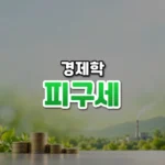 피해만큼 값을 매긴다, 피구세(Pigouvian Tax)