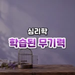 학습된 무기력 썸네일: 나무 탁자 아래쪽에 문이 열린 채 놓인 작은 새장