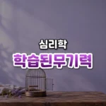 학습된 무기력 썸네일: 나무 탁자 아래쪽에 문이 열린 채 놓인 작은 새장