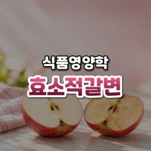 효소적갈변 썸네일: 단면이 살짝 갈색으로 변한 반쪽 빨간 사과가 아래에 놓이고 가운데·위로 글자를 올릴 밝은 여백이 있는 모습