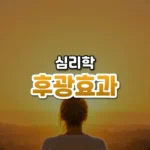좋은 점 하나가 모든 걸 빛낸다, 후광 효과(Halo Effect)